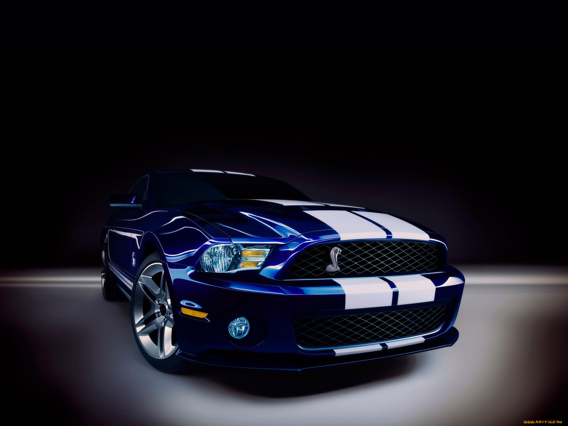 2010, ford, shelby, gt500, 